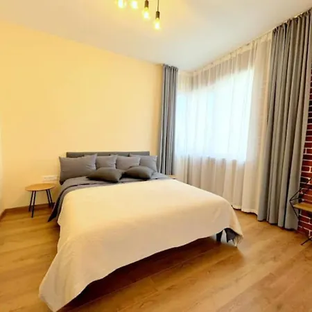 公寓 - Cozy 1bd In Center *
